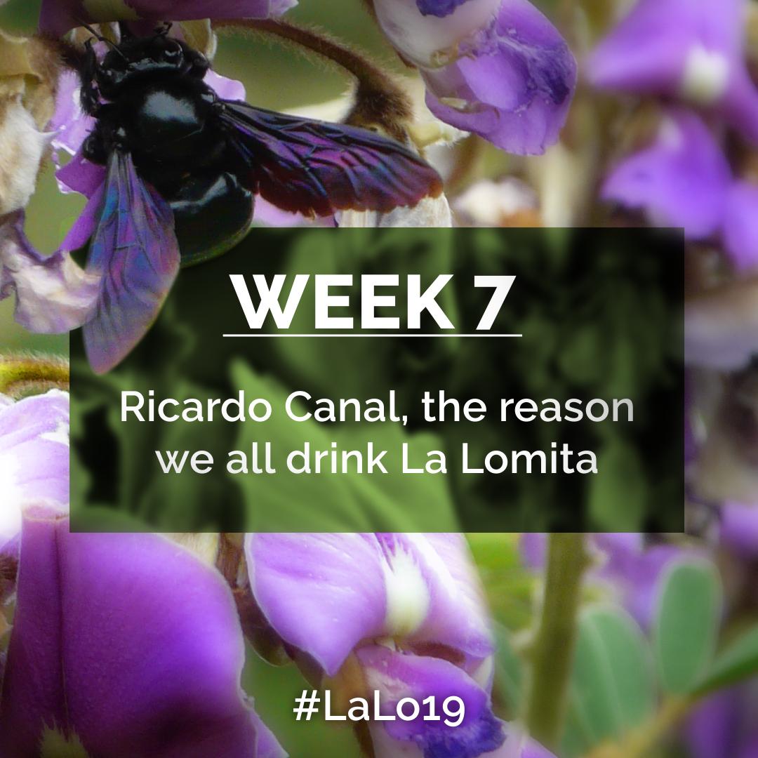 4 years ago, a man walked into Vagabond Coffee Roasters and since that day his coffee hasn't left our shelves. We'll meet Ricardo.#VagabondCoffeeRoasters #DirectTrade #Coffee #SpecialtyCoffee #LaLo19