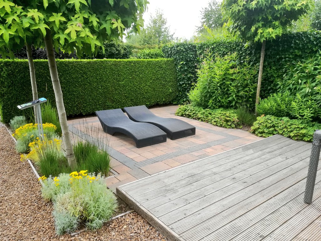 Johan Knaap tweet media