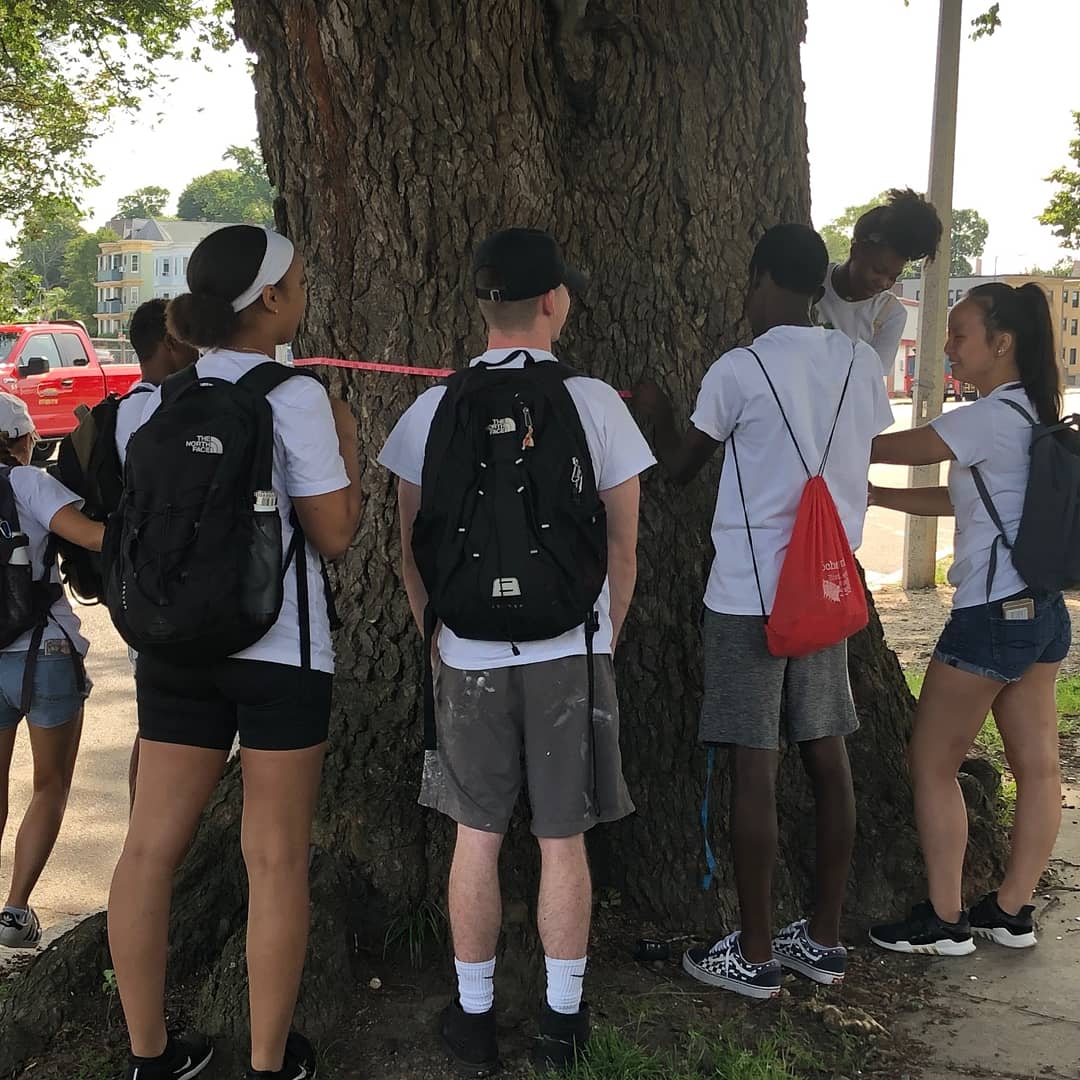 Trees_Boston's tweet photo. Great day learning about #urbantrees in #Dorchester between our Teen Urban Tree Corps #TUTC and youth from @bgcboston. Why trees? They #bringustogether and #keepuscool. Thank you for caring for these #streettrees @BostonParksDept! Some are even #toobigtohug https://t.co/dFw7LNBTQo