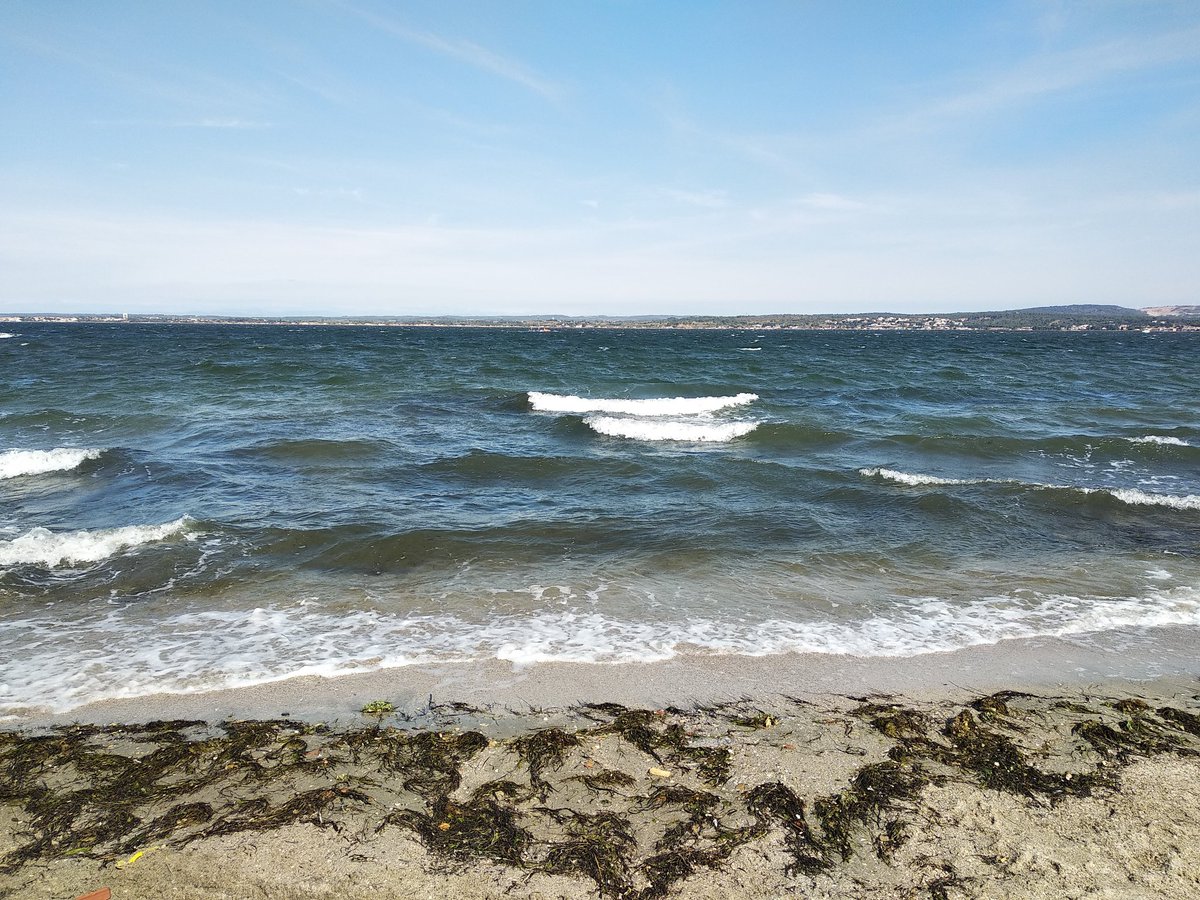 Kimiyo_asso's tweet photo. On parle des herbiers et leur rôle primordial au sein de l'écosystème de la lagune de #Thau. Nous sur la petite plage du #Barrou toute la matinée venez découvrir ces herbiers sous-lagunaires à ne pas confondre avec des algues. @CPIE_Thau @SMBT_Thau #natura2000 #sete https://t.co/QGknePZ3Vi