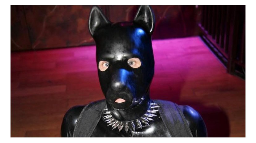 post_liberal's tweet image. Great response on the #LibDemDoorStep