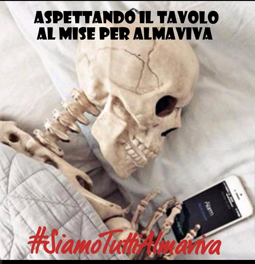 claudio carollo tweet media