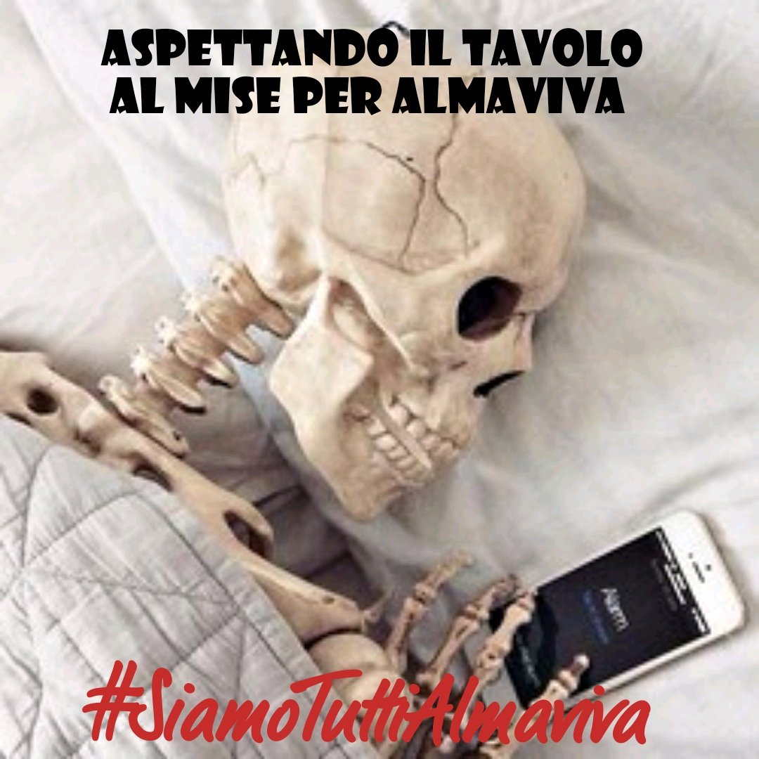 Serena Settineri tweet media