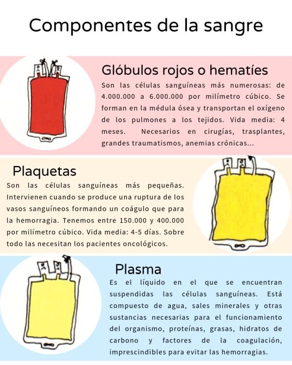 Generosidad Comprensión peine Twitter 上的 Centro de Transfusión🩸:"📢 Todos los componentes de la #sangre son necesarios, aunque en verano urgen las plaquetas porque las reservas se agotan: su vida es muy corta. ⏩Conoce su importancia Generosidad Comprensión peine Twitter 上的 Centro de Transfusión🩸:"📢 Todos los componentes de la #sangre son necesarios, aunque en verano urgen las plaquetas porque las reservas se agotan: su vida es muy corta. ⏩Conoce su importancia