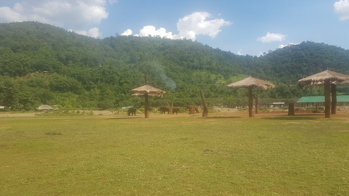 Woodham Academy (@woodhamacademy) on Twitter photo Our students enjoying the trip of a lifetime volunteering at <a href="/ElephantNatureP/">Elephant Nature Park</a> in Thailand! facebook.com/WoodhamThailan…
#aycliffehour Our students enjoying the trip of a lifetime volunteering at <a href="/ElephantNatureP/">Elephant Nature Park</a> in Thailand! facebook.com/WoodhamThailan…
#aycliffehour