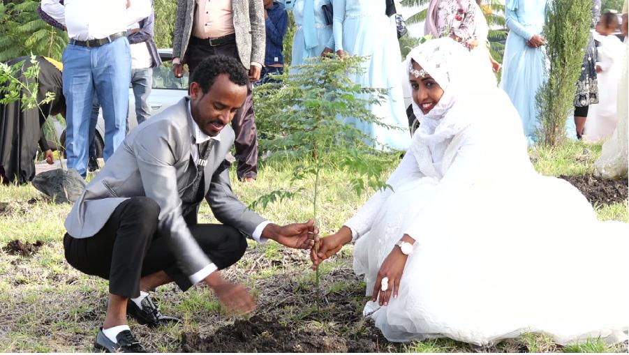 addisstandard's tweet image. The bride, Semira Ali, and her groom, Abdela Said, said they were delighted to plant the seedlings on the occasion of their wedding. The program was was organized by their bridesmaids! Happy wedded life from team AS. #InspiringStories
