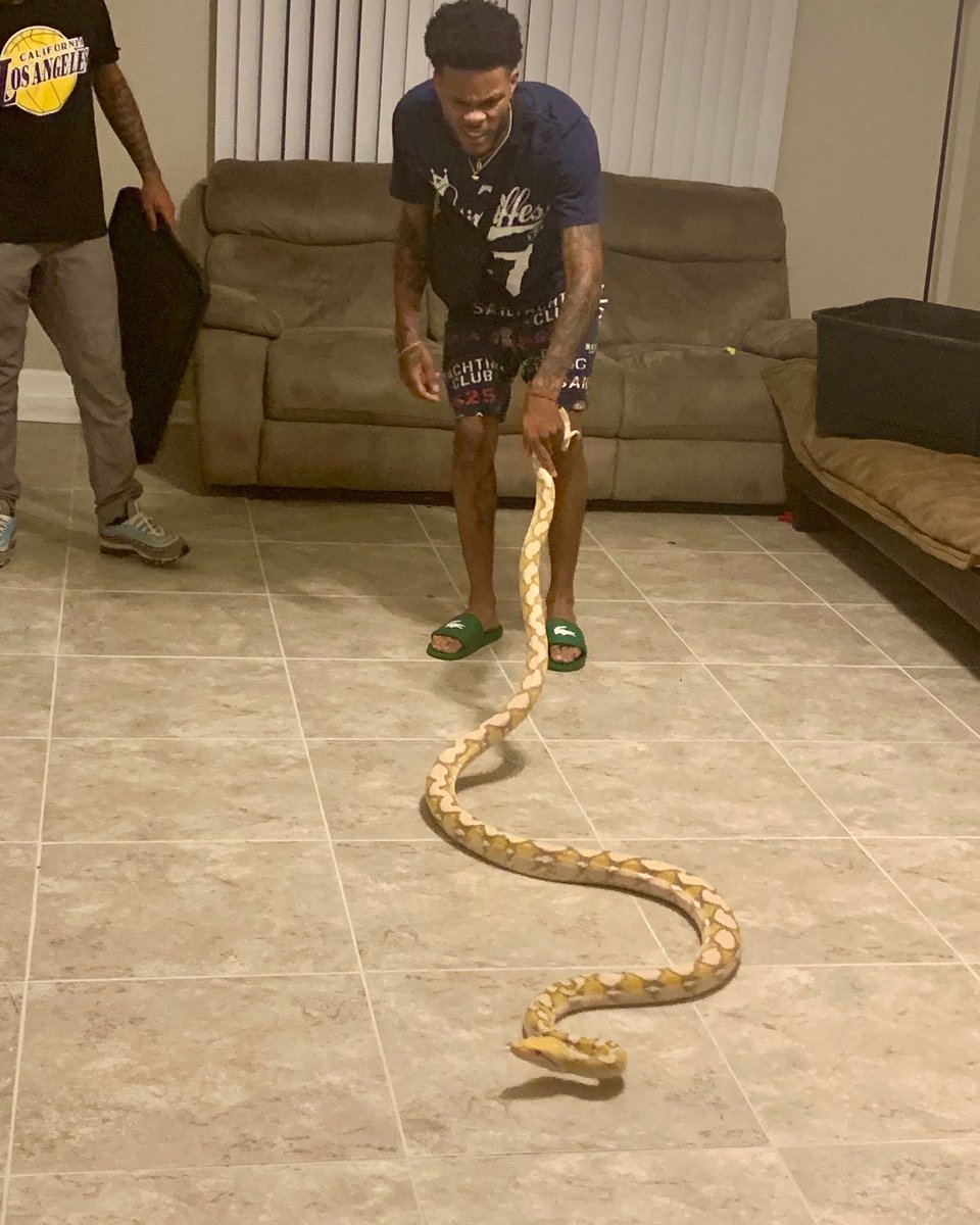 BaconGetBitches's tweet photo. I ain’t gone lie I’m scared of this big mf  🤣🤦🏽‍♂️ https://t.co/yfbsDmvdm2