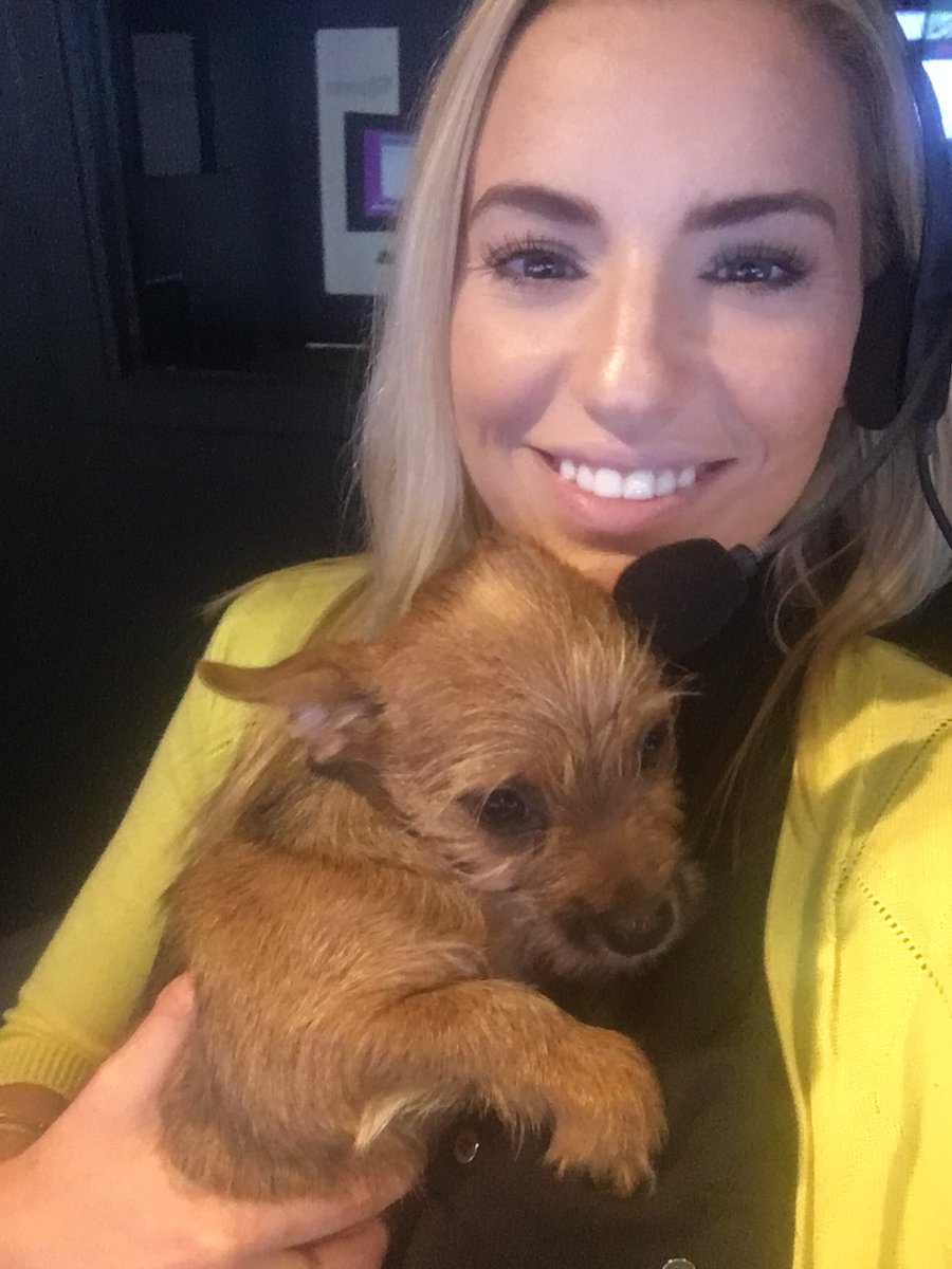 Some days at @news12nj are better than others. When we get to hold cuties like these, how can you not smile! #pawsandpals #pettherapy #adoptdontshop