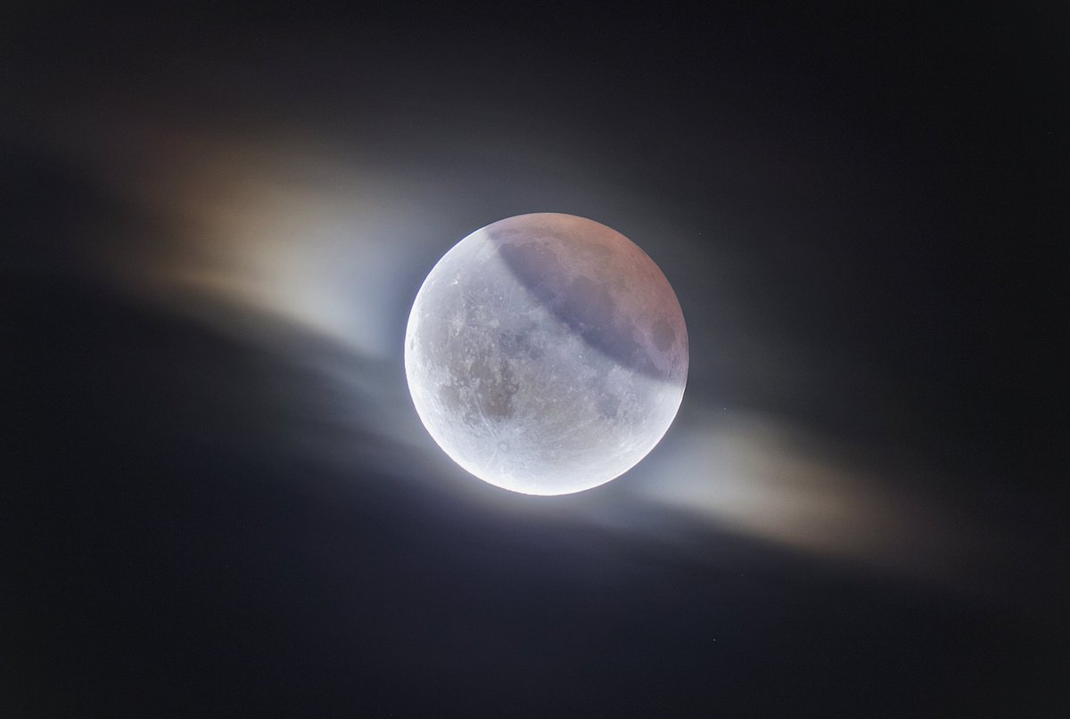 Ethan Roberts tweet media