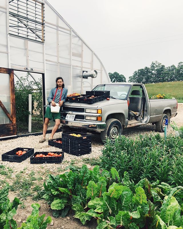 Aldergrove Farm on Twitter "Just a casual premarket harvest date of