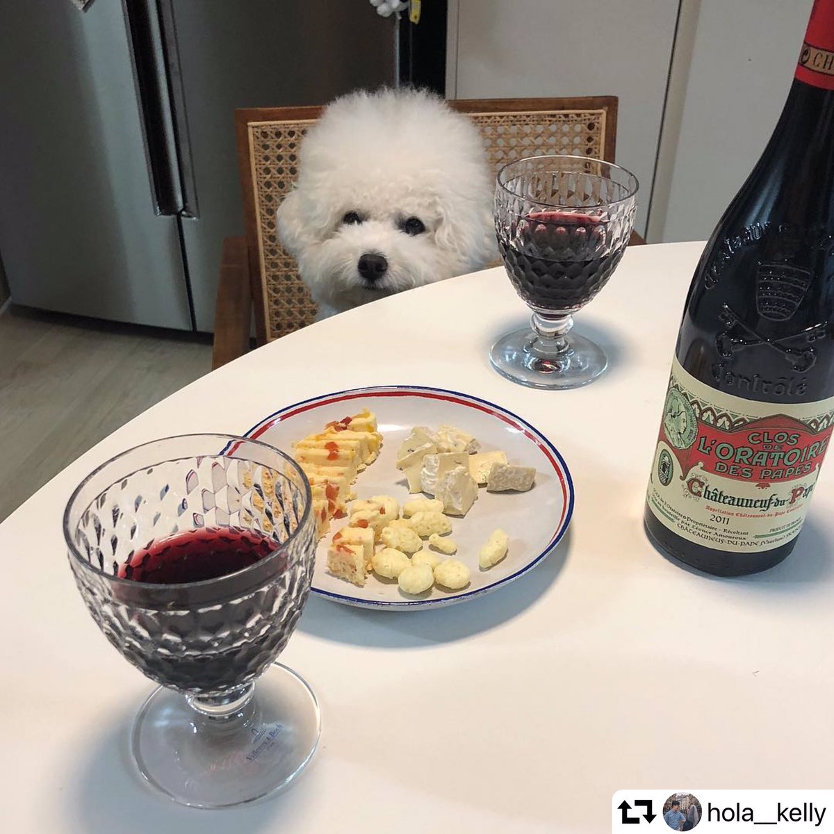 Un dîner en tête à tête, ça vous dit? 🐩 #maisonogier #closdeloratoiredespapes #chateauneufdupape #redwine #wine #winelover #winetasting #diner #lunchtime #dog instagram.com/p/B0D63t-iU3m/…