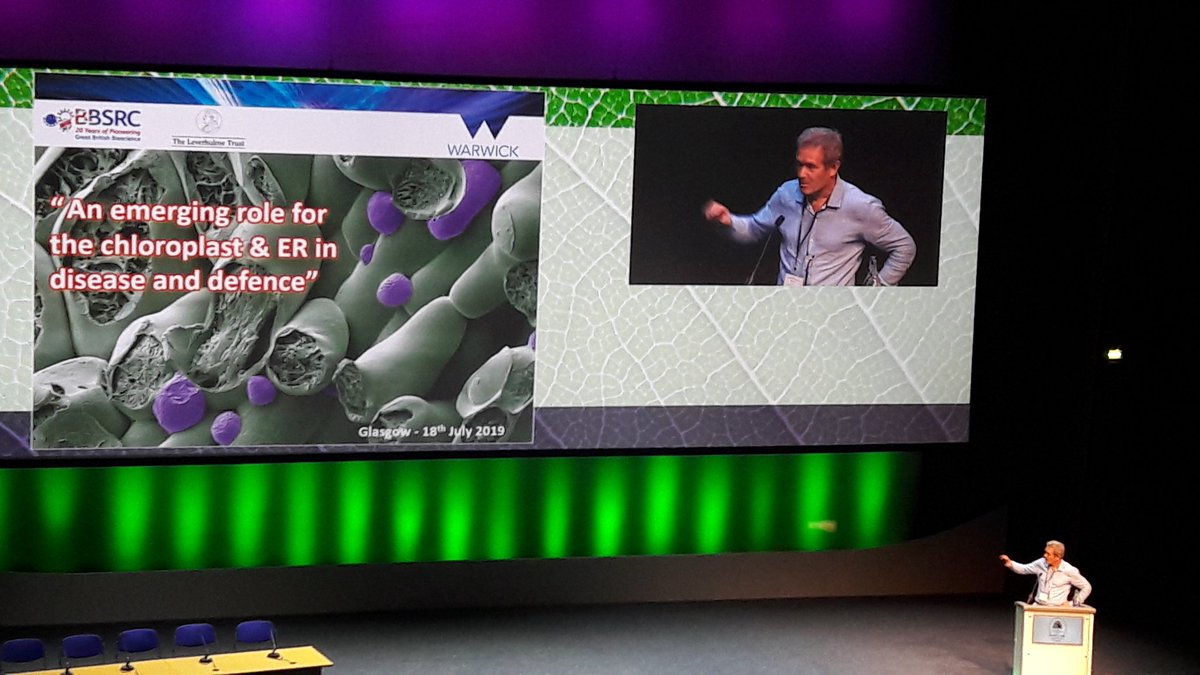 Murray Grant from <a href="/WarwickLifeSci/">Life Sciences</a> talking about targeting of chloroplasts and ER by bacterial effectors <a href="/ISMPMI/">IS-MPMI</a> conference.