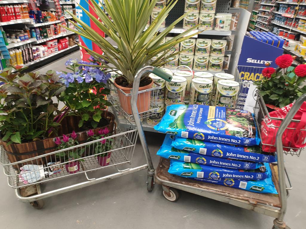 MPGreenTeam1's tweet photo. Putting that #Greenfund money to use and topping up our balcony project #Gold #Greenfingers #Plantlife @greenatqueens https://t.co/uwF1nTOodB