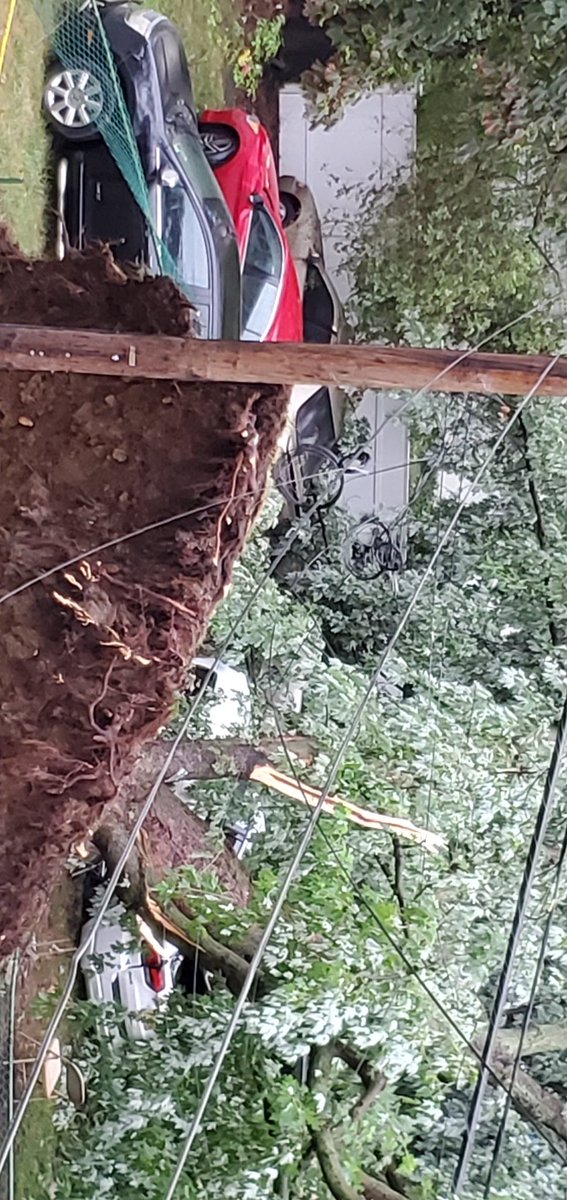 SistaSuga's tweet photo. @nytimes @NYDailyNews @nypost @ABC7NY @CBSNews @NBCNews mother nature was angry as hell last night during the storm! Turneur ave in the Bronx https://t.co/ujn3AZBjBs