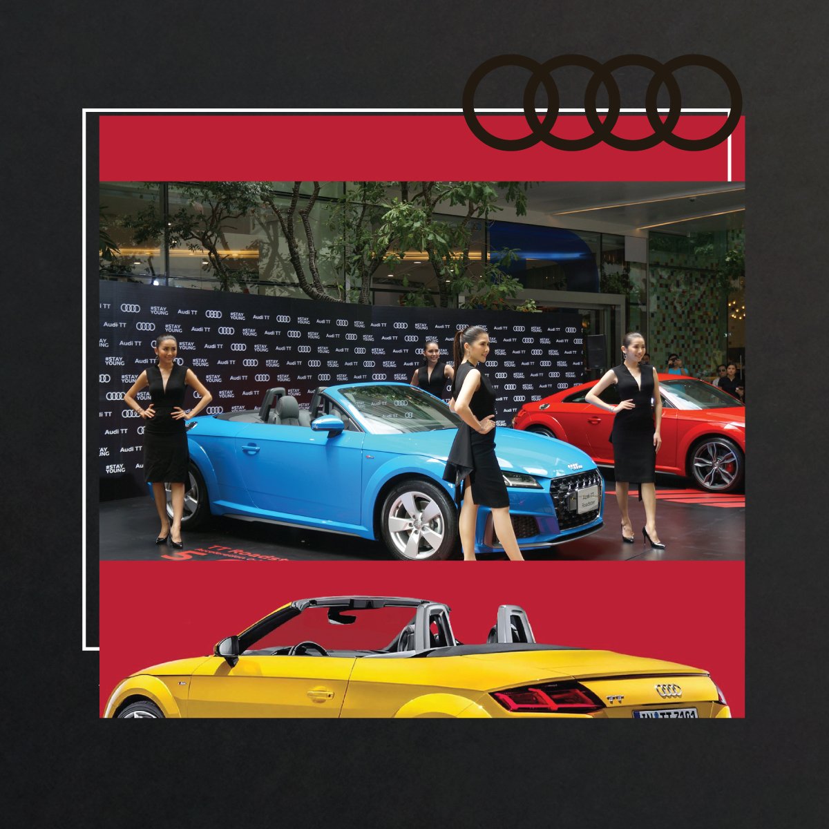 KtcPrivilege's tweet photo. โปรแรงจัดเต็มเฉพาะบัตรเครดิต KTC! จองรถ Audi ทุกรุ่นในงาน จ่ายเพียง 50,000.- รับเพิ่มเป็น 100,000.- พร้อม ❝รับคะแนน KTC FOREVER X5❞
🚩แล้วเจอกัน 18-21 ก.ค. 62 | ที่บูธ Audi @EmQuartier
-
#สุขไม่จำกัด #KTCauto #STAYYOUNG #AudiThailand #Audi #AudiTT #TheBestDeal https://t.co/oKwEqyb3SY