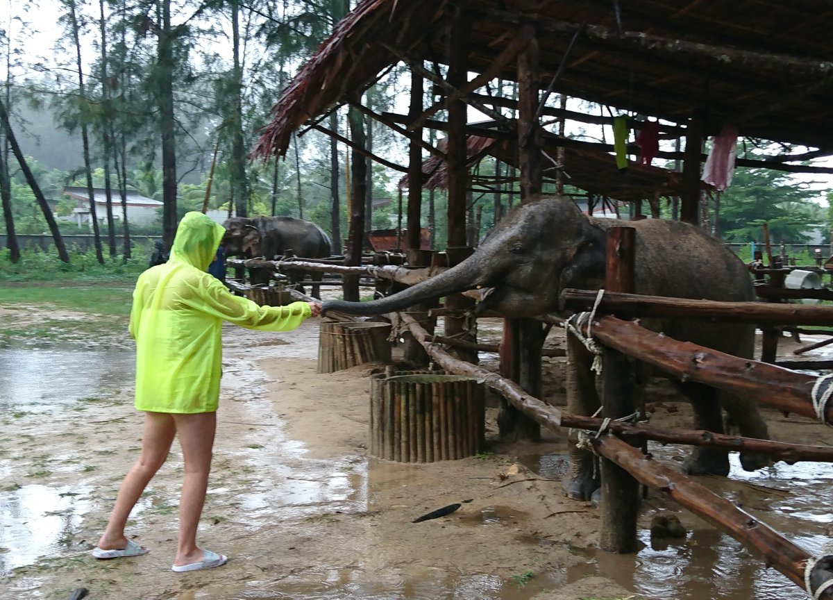 Siddal Moor Thailand tweet media