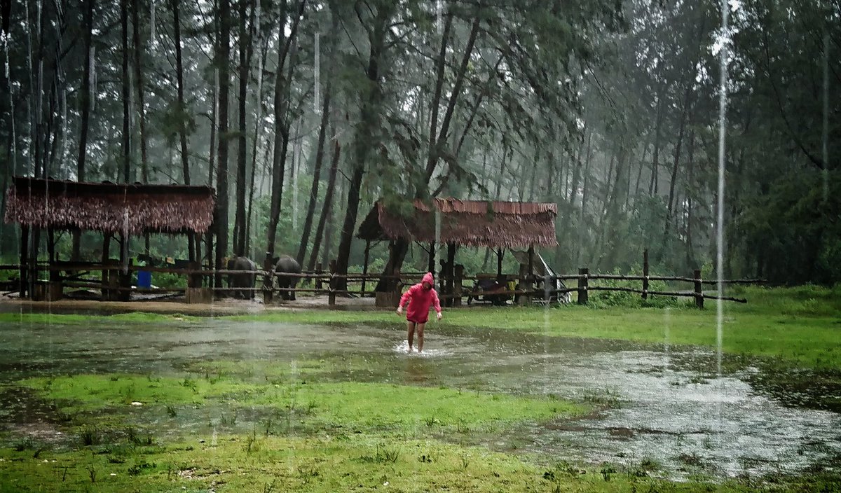 Siddal Moor Thailand tweet media