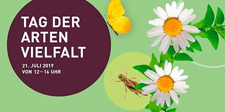 Artenvielfalt live bei uns erleben 👉 Tag der Artenvielfalt 2019 am Sonntag, 21. Juli 12 – 16 Uhr bit.ly/TdA2019

🦋 Kostenlose Führungen
🐞 Einfach vorbeikommen
🌻 Anmeldung nicht erforderlich
🐛 Eintritt frei
#artenvielfalt #bividersitaet #vielfalt #biologischevielfalt