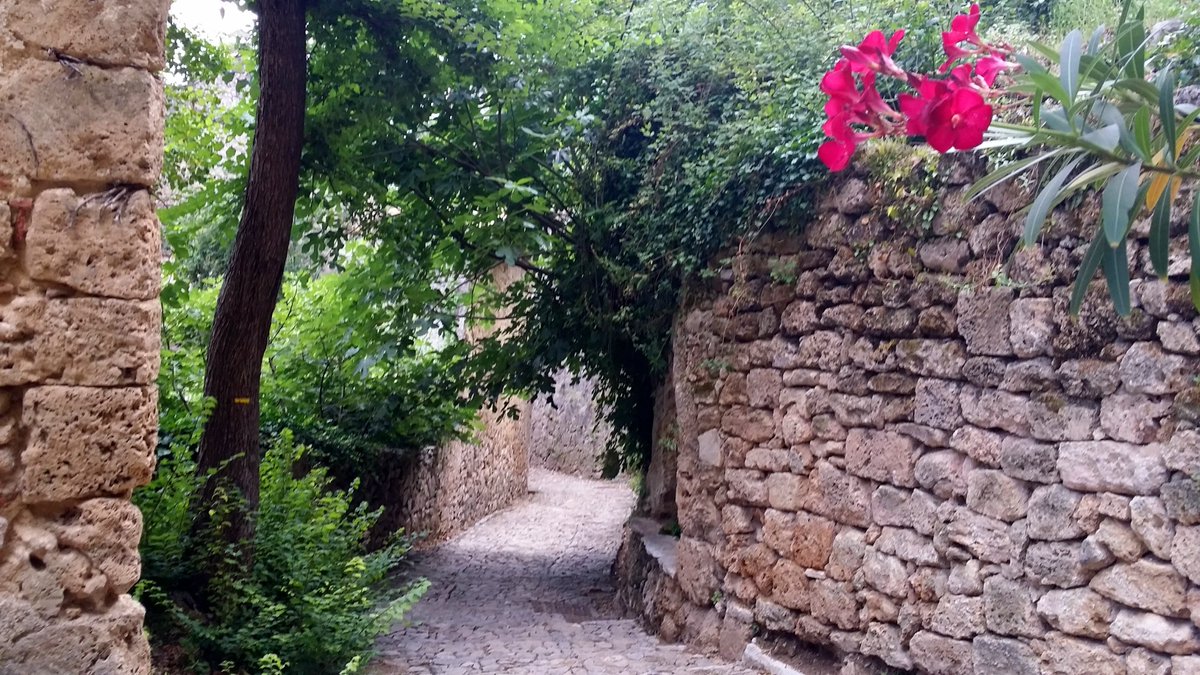 MireilleBoissy's tweet image. Les petits chemins de #Cotignac magnifique village du #Var surplombé par une étonnante falaise #CotedAzurFrance @VisitCotedazur @_FrenchRiviera @Magnifique_FR @Parcoursvoyages @Balade_Sympa @PacaHorizon @touristissimo @CRT_RegionSud @VincentPomparat @Tourisme2France @anaispollet1