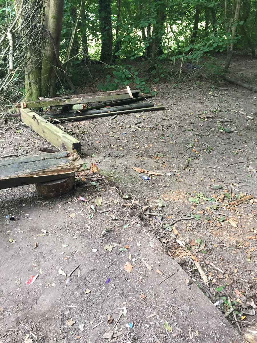 CraigfelenP's tweet photo. Shocking state of our nature reserve. Mindless vandalism has destroyed seats, tree and our big hotel. Please help stop it #cfpcomm https://t.co/kn7sqbzX4I
