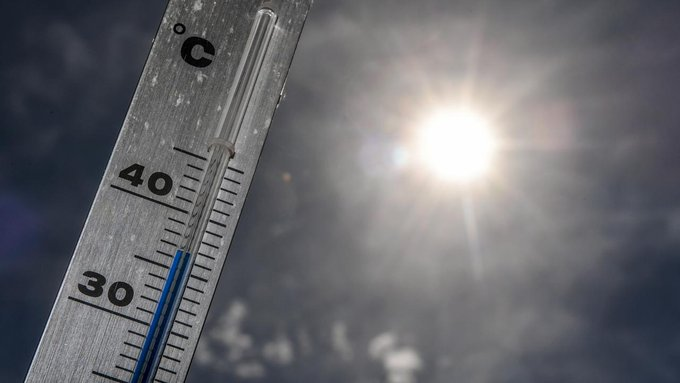 Juillet 2019 bien parti pour être le mois le plus chaud jamais mesuré. #canicule  lci.fr/planete/rechau…