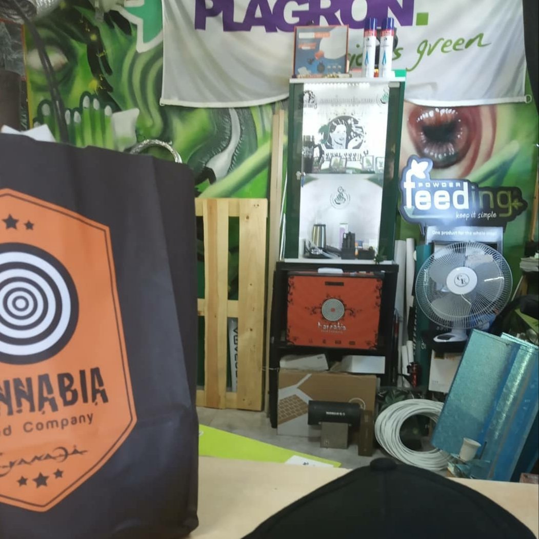 KannabiaSeeds's tweet photo. CAÑAMAZO VIGO + #KannabiaSeeds 🌱 + PLANTASUR + THE PURE FACTORY = LA COMBINACIÓN PERFECTA PARA TU CULTIVO‼ 👍😀🥳🎊🎉💚
Fotos 📷 gracias a la amiga #kannabista Emma de Plantasur @DPlantasur !

#canamazo #CañamazoVigo  #thepurefactory #Plantasur #Vigo #growshop #seeds #weed https://t.co/sdPYZKX4E2