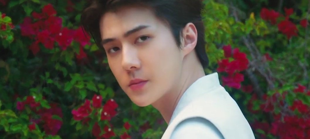 mdzlhcy ' my youth is EXO tweet media