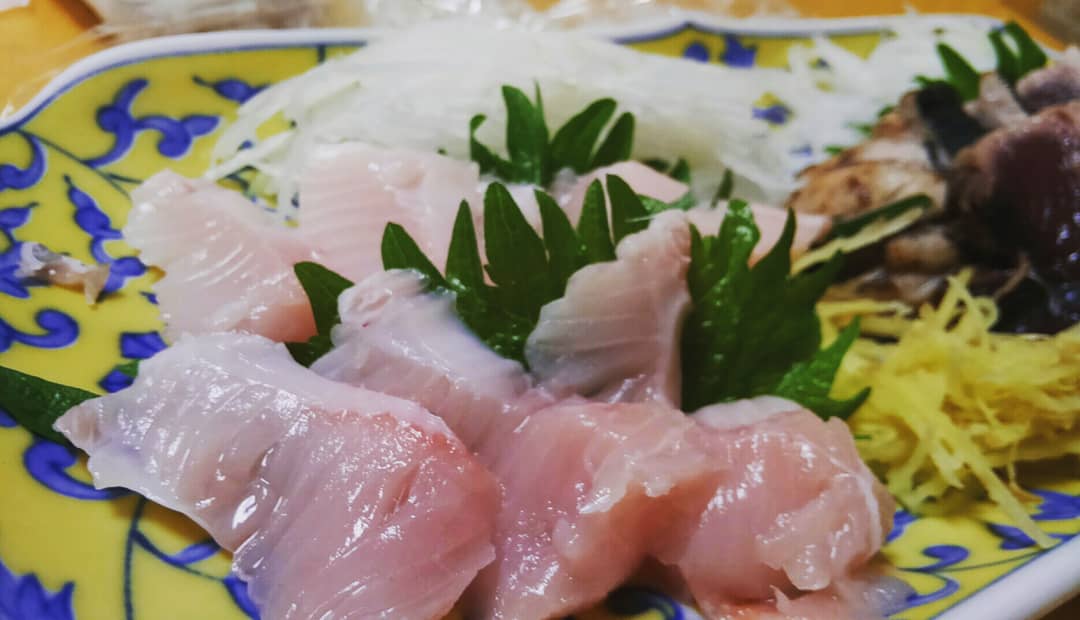 LUXXE_FAN's tweet photo. 磯から釣ったハガツオを捌くと、脂のりのり‼　おいしく頂きました。
#刺身 #gamakatsu #luxxe #coyote #twinhooksystem #twin #spmh #がまかつ #ラグゼ #コヨーテ #S100M #ツインフック #ツインSPMH 
#サイズ４ #ハガツオ #和歌山県 #南紀 #磯 https://t.co/djkz9hN1lF