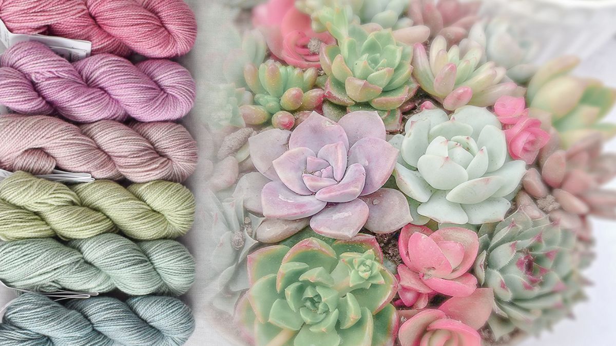 Summer 2019 News from Miss Babs - mailchi.mp/missbabs/late-…