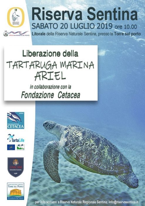 MammeDelPiceno's tweet photo. Sabato 20 luglio verrà liberata la tartaruga Ariel! https://t.co/BDi1VAk8pZ https://t.co/7VuUVQkDVX