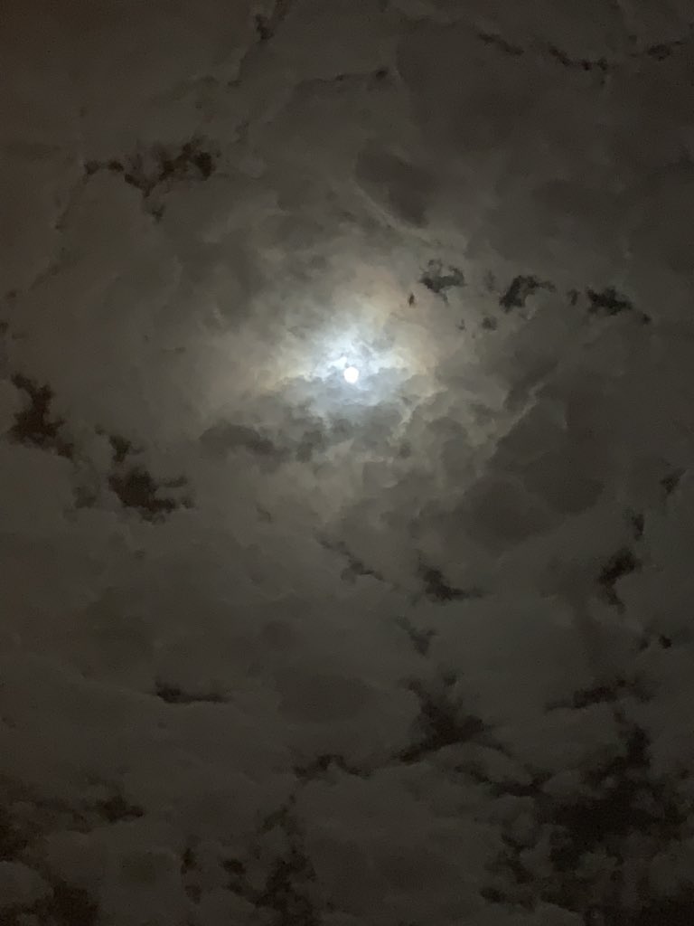 khokhasiri's tweet photo. Much love for sky✨🌌 https://t.co/dfs9LlZXD2
