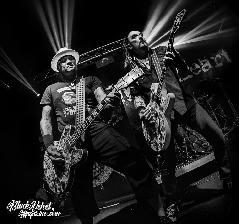 Black Velvet Rock Magazine tweet media