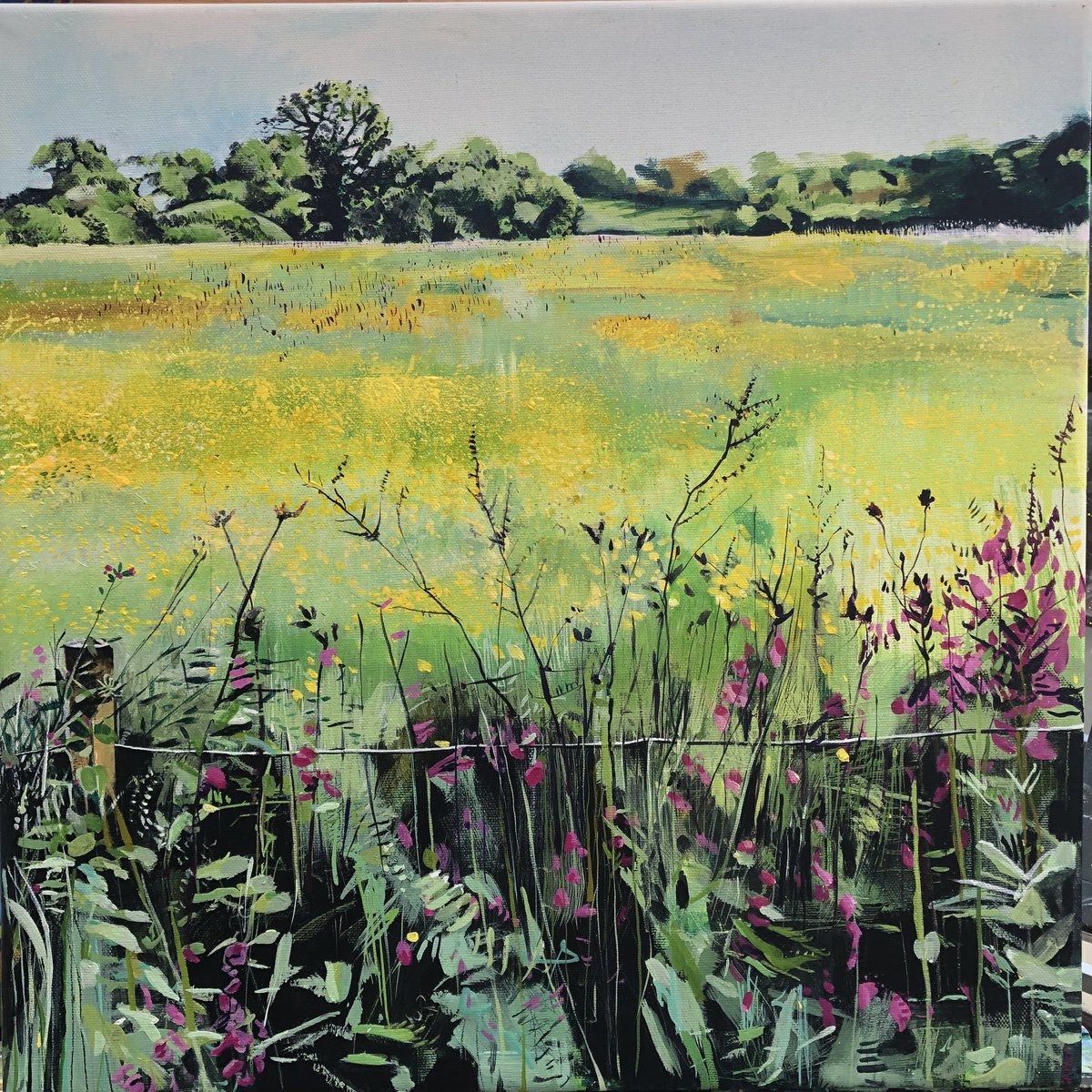 SophieParr5's tweet photo. Just finished ‘Buttercups and Fireweed ‘ #Cheshire #landscape #painting #spurstow https://t.co/BTTNIrLOda