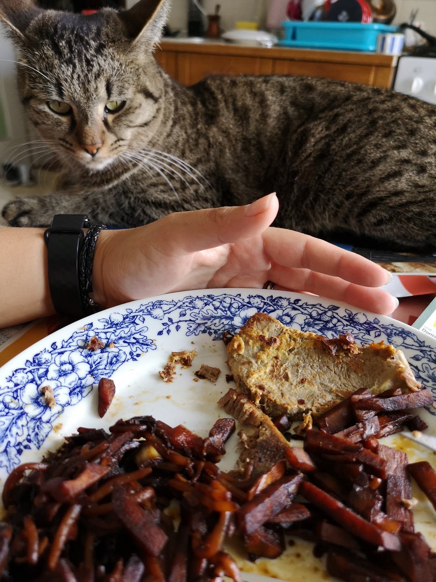 Chubby_Mosse's tweet photo. Pol se pa pejt.
#KeithTheCat https://t.co/lwrgHktXW7