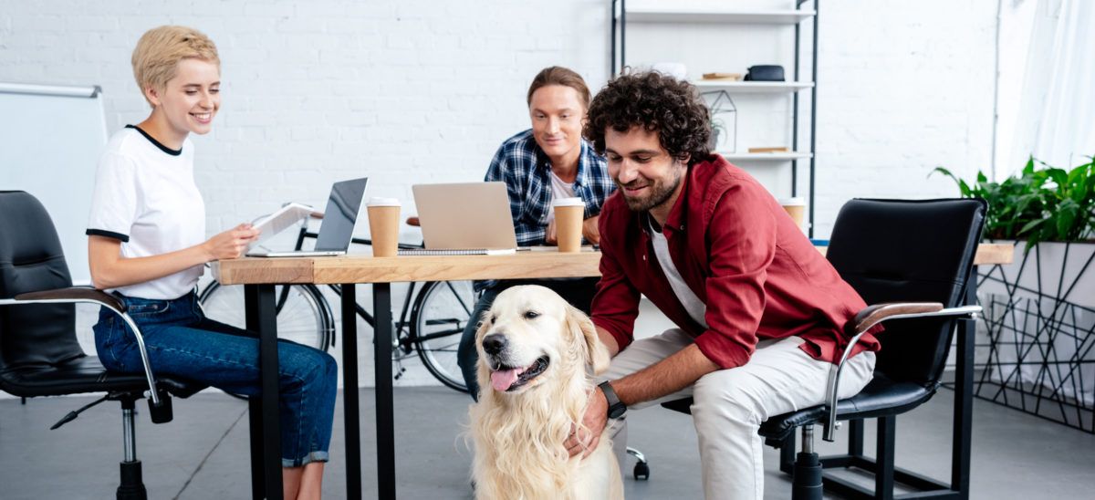 xavier_pineau's tweet photo. Partageons cette jolie initiative: recréer du lien entre l'homme et l'animal, entre la planète et l'entreprise pour prévenir les tensions au travail.  Animaux et bien-être au bureau - @HappinezFR https://t.co/JSjxTqnL0P https://t.co/P1QlwGbmUe