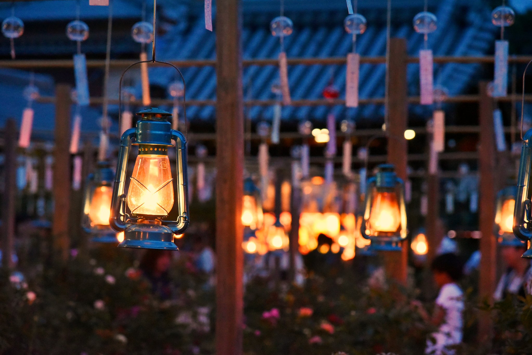 تويتر もー على تويتر 夏祭りの夜 いつもは風鈴の音が響くお寺に にぎやかな声とランプの優しい明かりがあふれる おふさ観音 夜まつり 風鈴まつり T Co Ekqhldlu3o