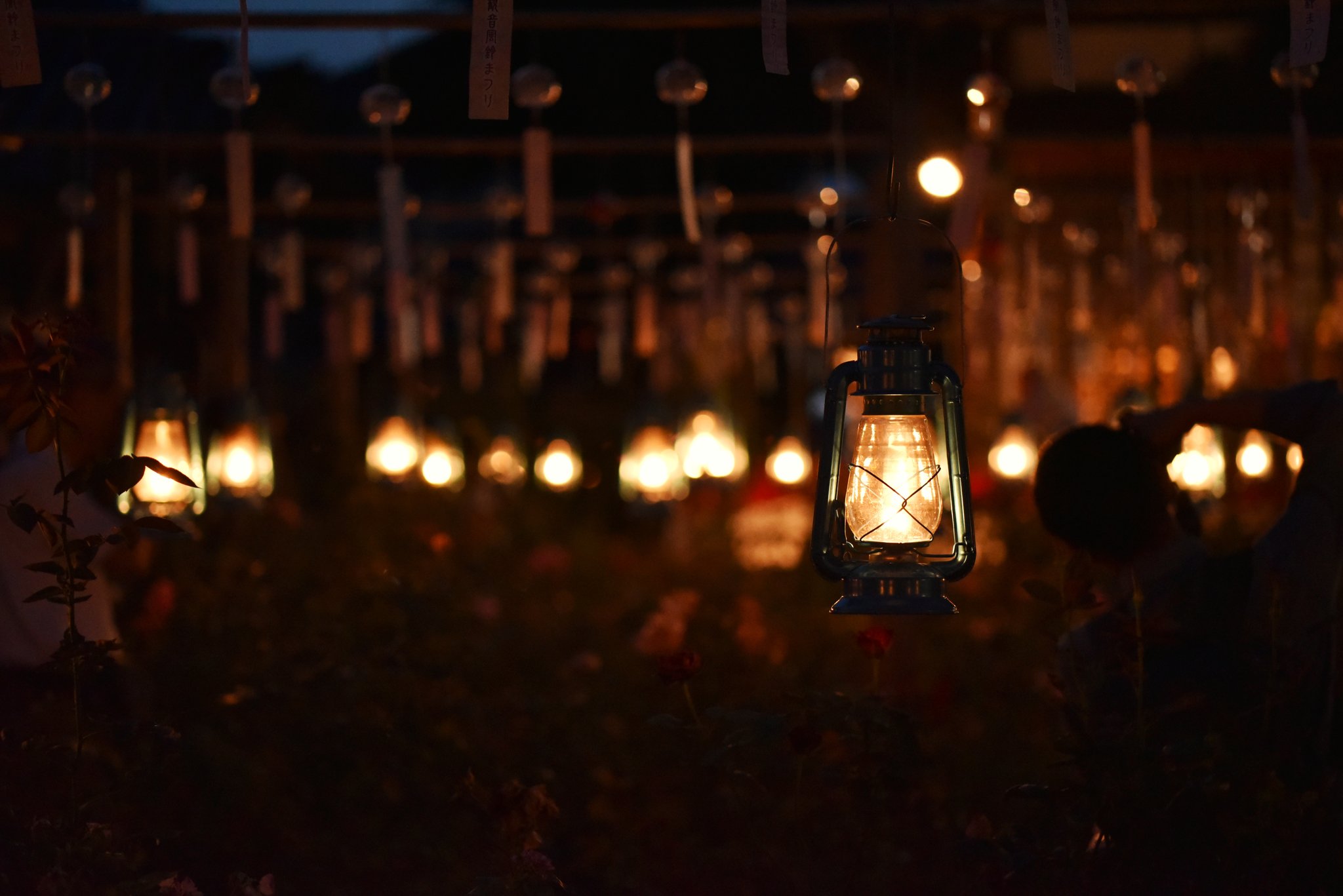 تويتر もー على تويتر 夏祭りの夜 いつもは風鈴の音が響くお寺に にぎやかな声とランプの優しい明かりがあふれる おふさ観音 夜まつり 風鈴まつり T Co Ekqhldlu3o