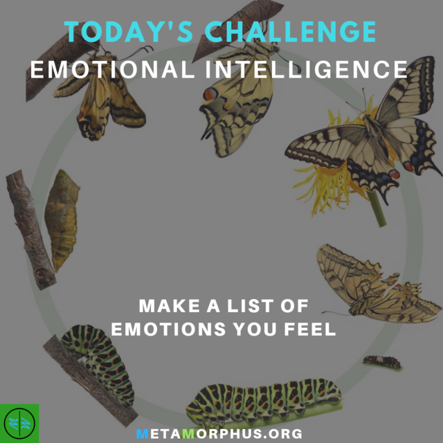 Metamorphus_org's tweet image. Today's Emotional Intelligence Challenge is to make a list of your emotions that you currently feel.

Identifying your emotions is a great step in becoming aware of yourself and your environment.

More at metamorphus.org