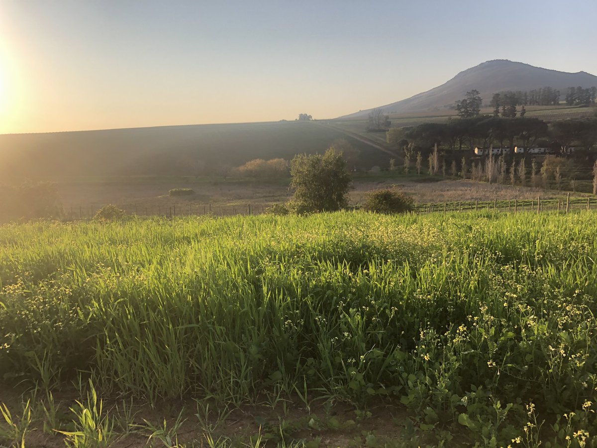 Some space left for the Fumdamental #mountainbike skills clinic this Sunday <a href="/Delvera/">DelVera</a> with David Hogan. Includes permit &amp; goodybag plus three hours of tups, advice &amp; #trail skills! #doitbetter Book now!