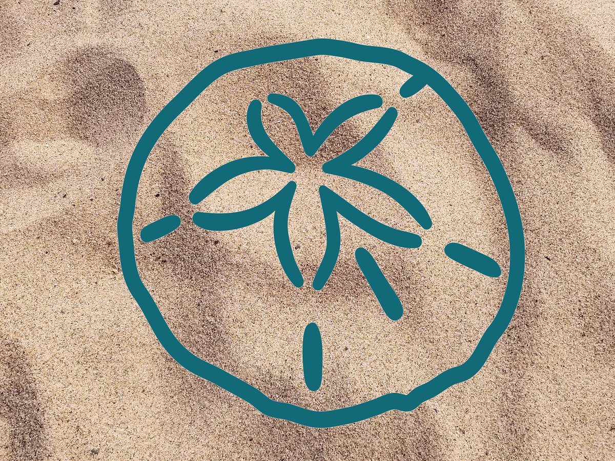It's hard to find a perfect sand dollar on the #beach. That's why we made this fun #sticker! 

You'll always have a perfect sand dollar wherever you decide to stick it!
👇
inbloomstickers.com/products/294/m…