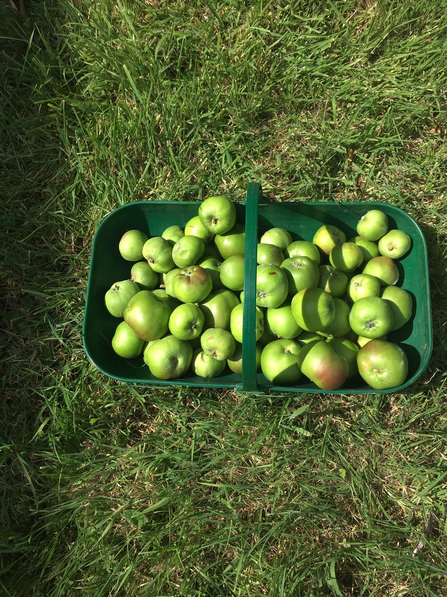 Regency OT tweet media