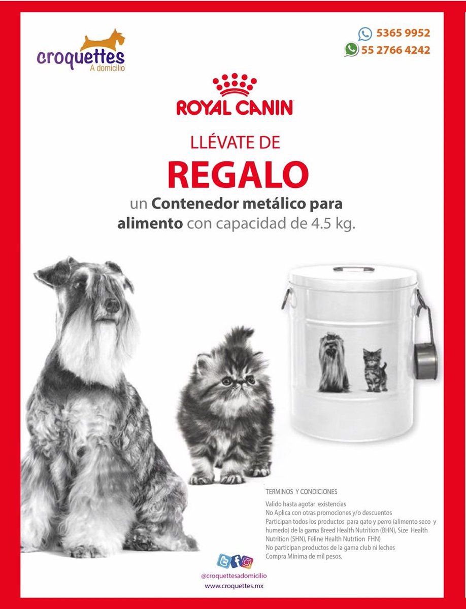 En la compra mínima de $1,000.00 pesos en productos #royalcanin llévate un contenedor con capacidad de 4.5kg ❤️ #hastaagotarexistencias #alimentoseco #alimentohumedo Consulta restricciones #perros y #gatos #promociones #regalo