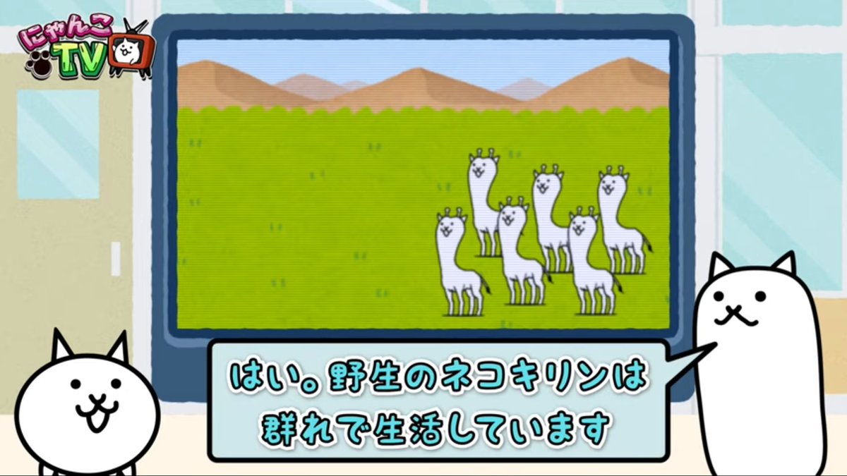 ねこせんせい