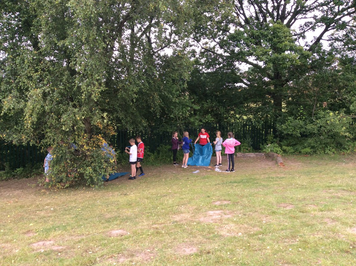 hddpyear4's tweet photo. Den building begins! https://t.co/fVT2Jd9mzM