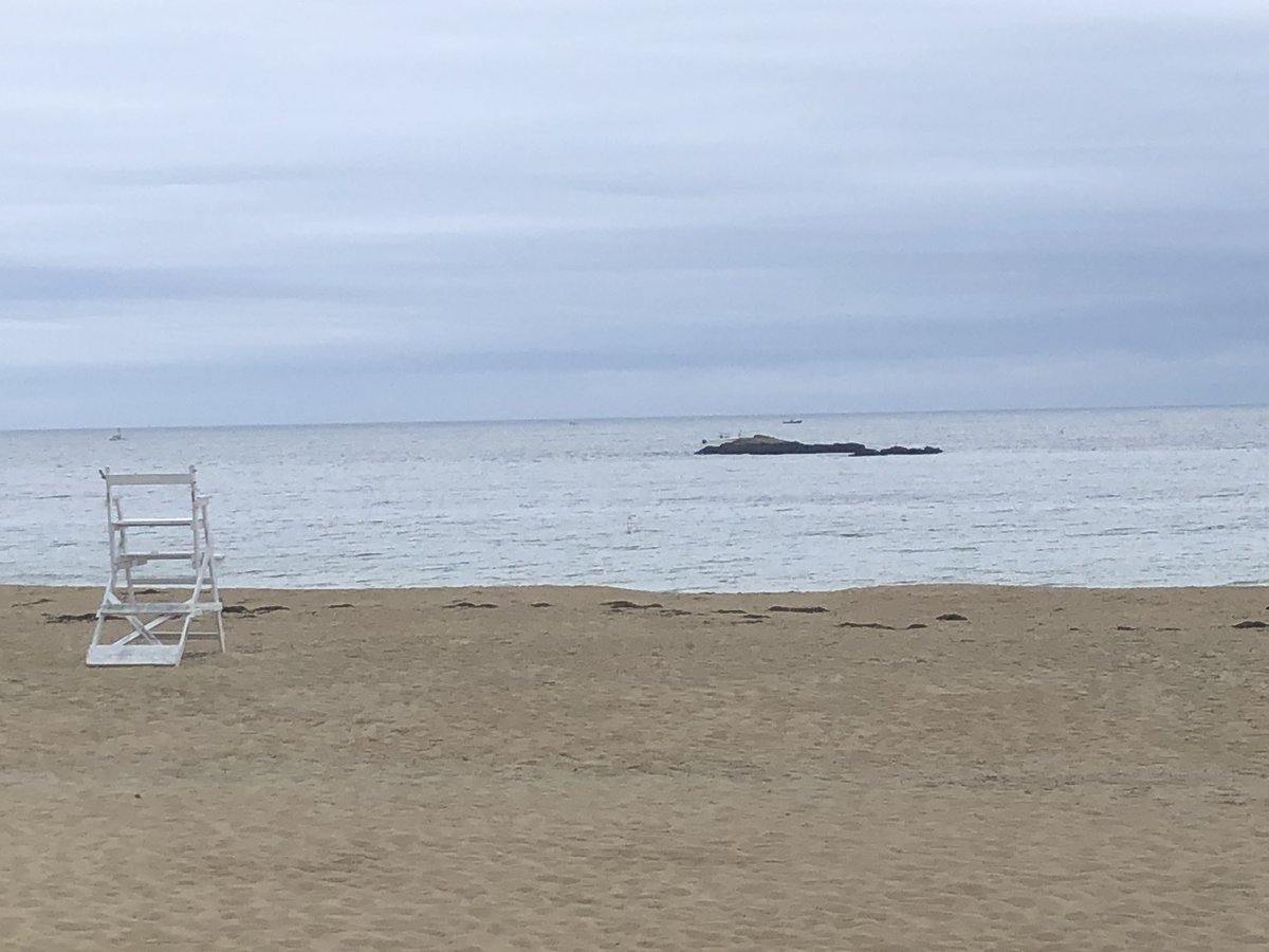 LaughingGullSB's tweet photo. Quiet, breezy, and relaxing beach day. High Temps: 69°. Low tide: 7:30pm https://t.co/kf671IojW3