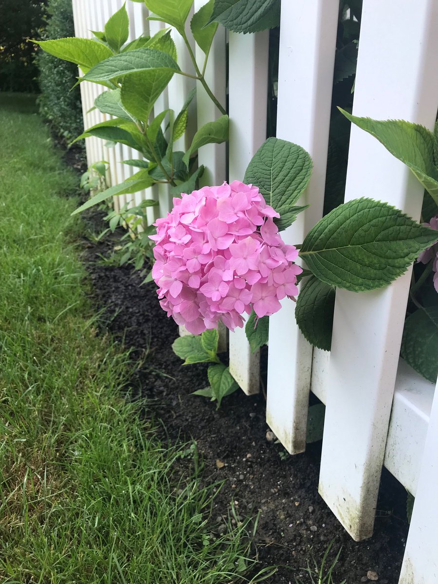 Kim Eagle tweet media