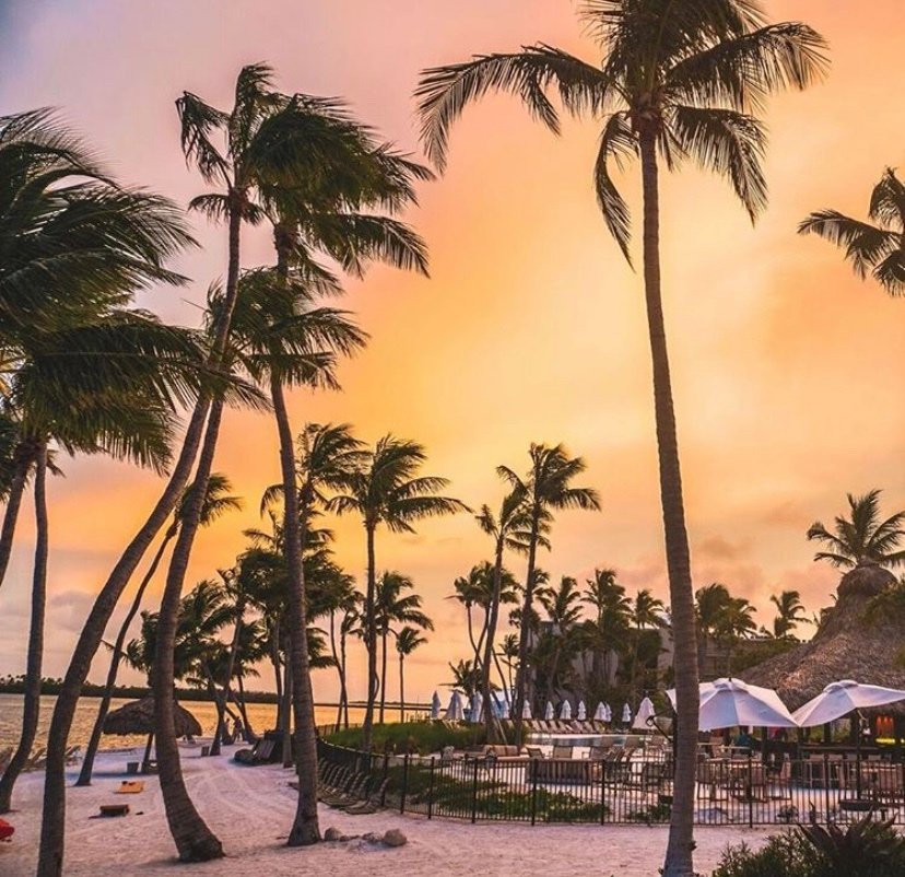 Mayfield PR tweet media