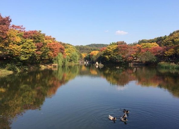 azbiru's tweet photo. #3040ㅊㅐ팅만남ㅅㅏㅇㅣ트 
#20ㄷㅐ남자여자ㅊㅐ팅ㅅㅏㅇㅣ트 

입장 ▶ https://t.co/2bnW4hr6mf

#40ㄷㅐ소ㄱㅐ팅 

이성이랑카톡하기 https://t.co/WJZ0D91wiw