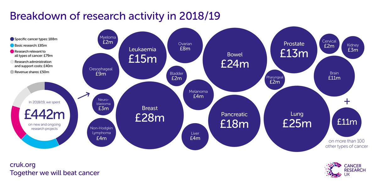 Michelle_CRUK's tweet photo. The generosity of our supporters is truly humbling. This year, your donations have enabled us to spend more on our life-saving work. See what we’ve you’ve helped us achieve this year: https://t.co/5TAhr9iGBs https://t.co/sCtfy3eT72