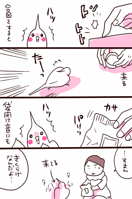 辛い日だったので特に可愛い可愛いあわびちゃんを… 明日はいい日だー
